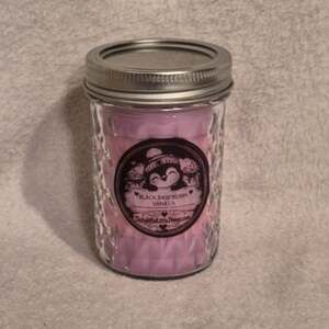 Black Raspberry Vanilla Scented Candle, 8oz
